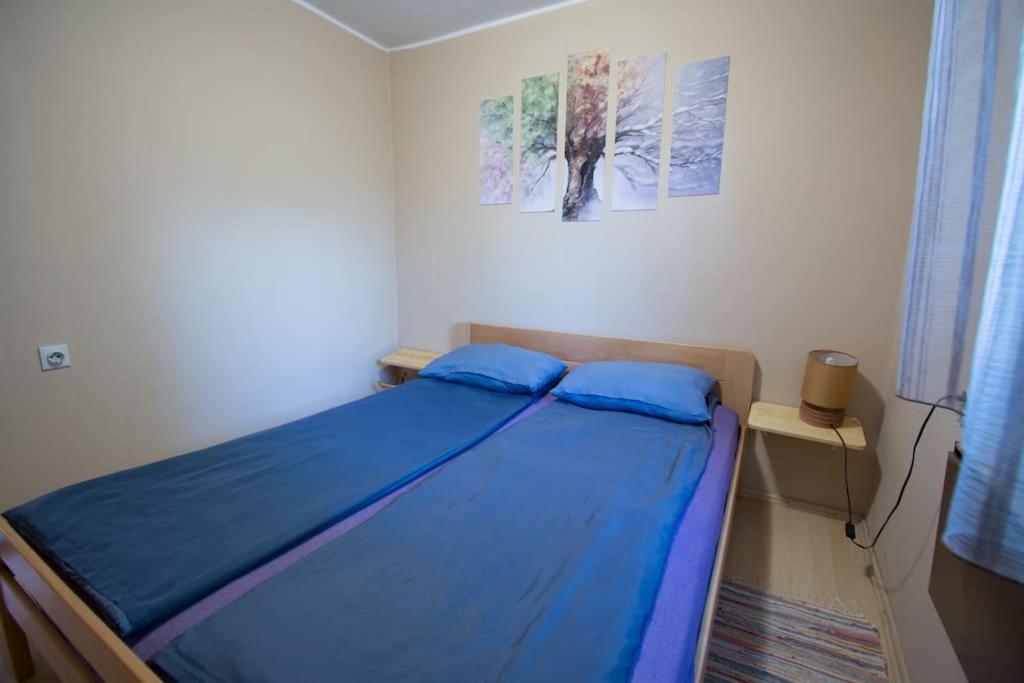 Happy House Villa Velika Remeta Bagian luar foto