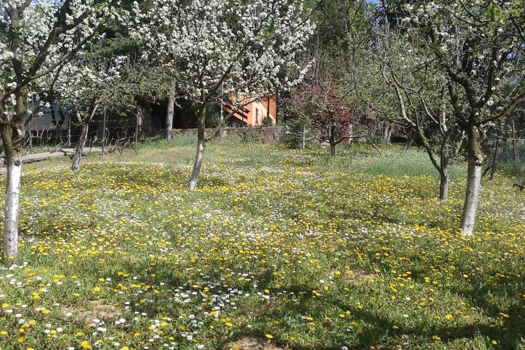 Happy House Villa Velika Remeta Bagian luar foto